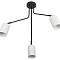 Rivoli 3167-303