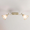 Спот Citilux CL511524