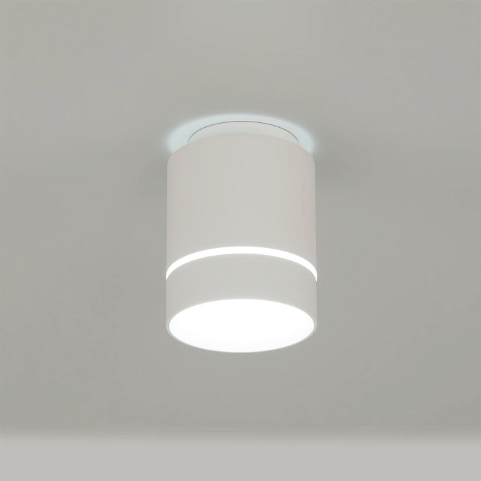 Светильник Citilux CL745010N